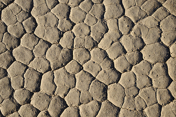 포토 JPG 해외이미지 호수 자연 날씨 건조 국립공원 풍경 사람없음 계곡 경기장 사막 침대 죽음 균열 캘리포니아 진흙 지질학 해외202004 해외포토 공원 교육 가구 스포츠시설 모션 미국 생태계 파일형식 이미지허브