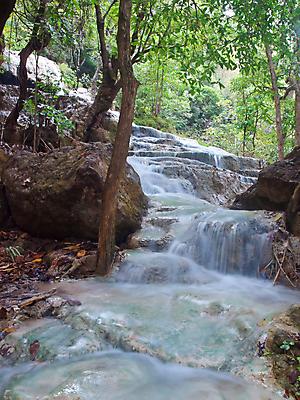 포토 JPG 해외이미지 나무 식물 공원 아시아 여행 잎 태국 자연 조류 산 바닥 동양인 사람없음 물 컬러풀 폭포 흐름 신선 개울 숲 강의 즐거움 운하 에메랄드 층 내추럴 루트 보호구역 전국 파라다이스 현재 해외202004 해외포토 자연요소 동물 공공시설 감정 나라 컬러 컨셉 인종 강 보석 생태계 구역 파일형식 이미지허브
