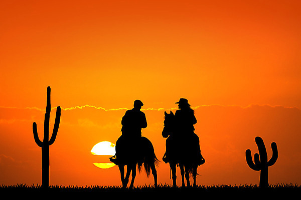 포토 JPG 해외이미지 동물 실루엣 야생동물 일러스트 자연 사람없음 농장 농경지 사막 승마 카우보이 라이더 서쪽 해외202004 해외포토 스포츠 농업 촬영기법 방향 생태계 파일형식 이미지허브