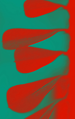 포토 JPG 해외이미지 식물 잎 자연 사람없음 해외202004 해외포토 생태계 파일형식 이미지허브