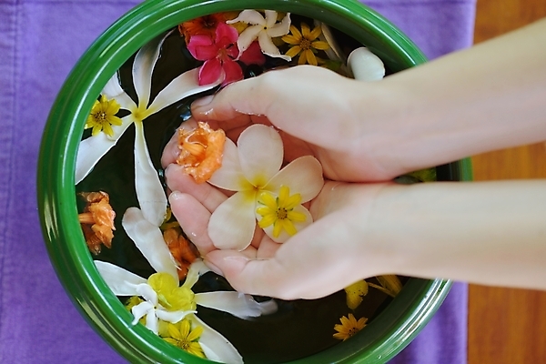 포토 JPG 해외이미지 손 꽃 들기 신체부위 물 수건 스파 손모으기 대야 해외포토 자연요소 식물 모션 사람 손짓 위생용품 파일형식 이미지허브