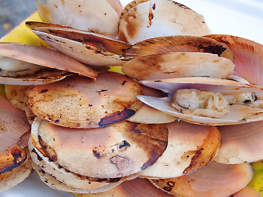 포토 JPG 해외이미지 동물 음식 바다 백그라운드 재료 태국 자연 조개 연체동물 건강 육류 요리 사람없음 식사 껍질 오픈 그룹 닫기 선택 맛 그릴 굽기 먹기 해산물 준비 점심식사 영양분 해외202004 해외포토 아시아 컨셉 식재료 모션 주방용품 어패류 무척추동물 구이 생태계 파일형식 이미지허브