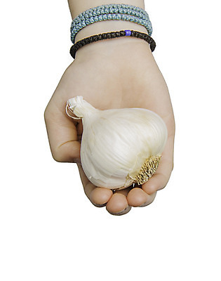 포토 JPG 해외이미지 손 길 음식 농업 다이어트 재료 전구 손가락 건강 마늘 관리 사람없음 약 농장 머리 판매 정원 수확 성장 흰색 신선 잡기 맛 구매 농부 자르기 먹기 향신료 주기 유기농 보여주기 내추럴 고립 밭일 영양분 채식주의자 치료제 제의 해외202004 해외포토 직업 웰빙 산업 컬러 컨셉 채소 의학 모션 신체부위 쇼핑 채식 향미료 파일형식 이미지허브