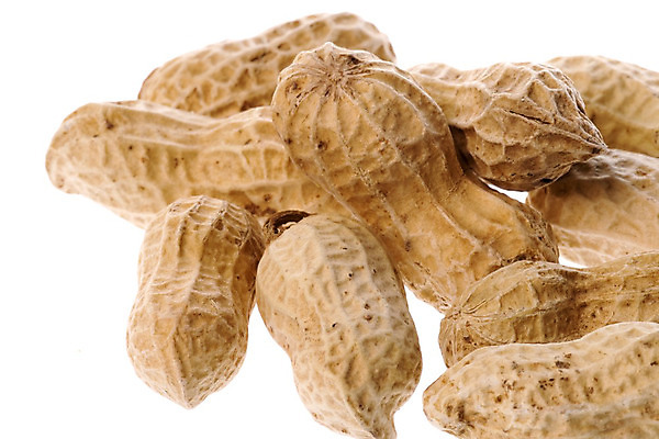 포토 JPG 해외이미지 음식 농업 다이어트 채소 재료 자연 건강 씨앗 사람없음 갈색 견과류 신선 닫기 맛 먹기 묘사 날것 땅콩 성분 내추럴 고립 단백질 땅바닥 식용 해외202004 해외포토 식물 산업 컬러 컨셉 모션 바닥 생태계 영양소 파일형식 이미지허브