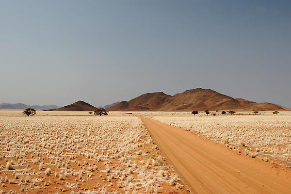 포토 JPG 해외이미지 나무 도로 모래 아프리카 하늘 산 거리 건조 풍경 사람없음 빨간색 초록색 모래사장 갈색 노란색 사막 황무지 먼지 나미비아 방법 스텝 해외202004 해외포토 식물 나라 길 바다 컬러 교통시설 남아프리카 파일형식 이미지허브