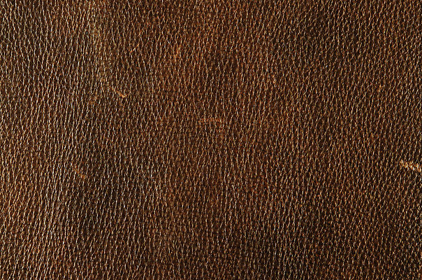 포토 JPG 해외이미지 동물 디자인 옷 산업 백그라운드 패턴 의자 자연 표면 날씨 추상 미술 사람없음 갈색 우주 어둠 줄무늬 수확 골동품 조약돌 직물 얼룩 거친 가죽 유연 피부 질감 복고 날것 부드러움 결 한조각 내추럴 숨기 엘리먼트 옛날 울퉁불퉁 카피스페이스 효과 해외202004 해외포토 1 컬러 가구 무늬 농업 모션 문화예술 신체부위 공백 돌_바위 감각 생태계 파일형식 이미지허브