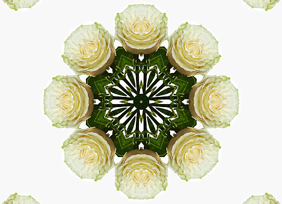 포토 JPG 해외이미지 디자인 문화 패턴 추상 사람없음 장미 중국 직물 원형 파마 심볼 사인 서식 자수 대칭 만다라 만화경 아라베스크 해외202004 해외포토 도형 헤어스타일 꽃 아시아 무늬 장난감 파일형식 이미지허브