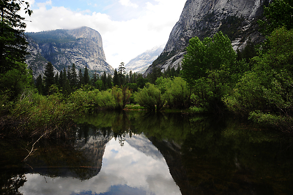 포토 JPG 해외이미지 나무 식물 호수 자연 산 국립공원 풍경 사람없음 초록색 물 파란색 강 반사 미국 거울 흰색 소나무 개울 황무지 정상 언덕 요세미티국립공원 해외202004 해외포토 자연요소 공원 컬러 북아메리카 생태계 캘리포니아 파일형식 이미지허브