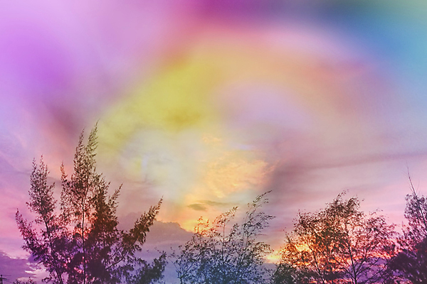 포토 JPG 해외이미지 모양 실루엣 백그라운드 단풍 자연 아침 추상 사람없음 빛 컬러풀 햇빛 환경 맑음 새벽 활발 신선 보호 소프트포커스 부드러움 블러 해외202004 해외포토 주간 자연요소 컬러 컨셉 잎 무늬 날씨 촬영기법 태양 감각 생태계 파일형식 이미지허브