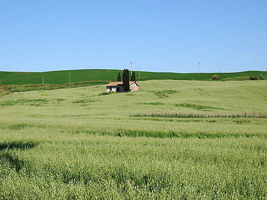 포토 JPG 해외이미지 나무 유럽 밭 농업 자연 산 풍경 사람없음 초록색 여름 농가 평화 환경 계곡 고요 봄 이탈리아 성장 시골 언덕 그림 올리브 포도밭 땅바닥 시에나 토스카나 수평선 해외202004 해외포토 식물 계절 열매 나라 산업 컬러 컨셉 바닥 농장 생태계 파일형식 이미지허브