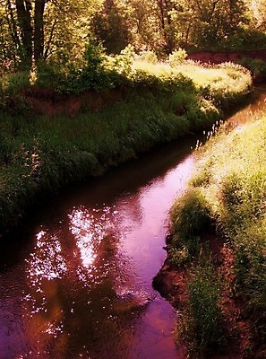포토 JPG 해외이미지 지구 백그라운드 자연 사람없음 야외 초록색 물 강 모래사장 환경 맑음 신선 황무지 우아함 보호 숲 내추럴 해외202004 해외포토 자연요소 바다 컬러 컨셉 날씨 생태계 파일형식 이미지허브
