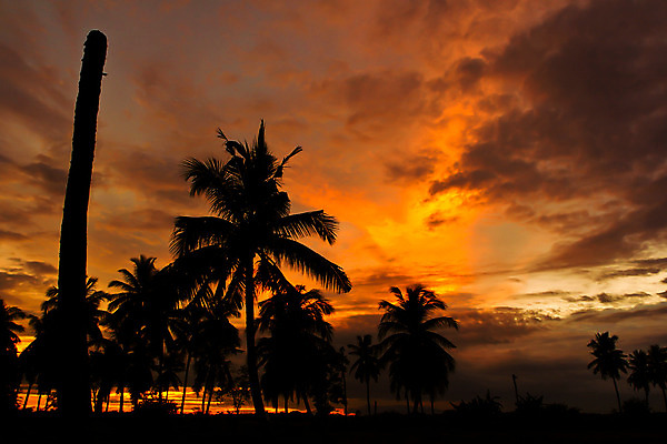 포토 JPG 해외이미지 나무 실루엣 모래 바다 섬 오렌지 하늘 휴가 휴식 따뜻함 손바닥 풍경 사람없음 야외 물 여름 태양 노란색 일출 어둠 침묵 황혼 일몰 꿈 야간 저녁 휴양지 장면 코코넛 깊이 이국적 파라다이스 해외202004 해외포토 자연요소 식물 손 계절 컬러 컨셉 과일 촬영기법 노을 소리 장소 파일형식 이미지허브