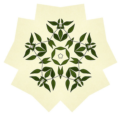 포토 JPG 해외이미지 별 잎 일러스트 사람없음 장식 초록색 배열 대칭 해외202004 해외포토 자연요소 식물 컬러 파일형식 이미지허브