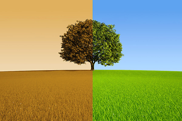 포토 JPG 해외이미지 나무 식물 계절 잎 밭 일러스트 자연 하늘 풍경 사람없음 야외 평화 환경 고요 봄 가을 시간 언덕 싱글 내추럴 혼자 해외202004 해외포토 컨셉 농업 생태계 파일형식 이미지허브