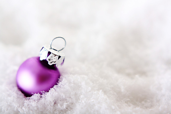 포토 JPG 해외이미지 나무 전통 계절 리본 분홍색 백그라운드 크리스마스장식 크리스마스 겨울 패턴 공 휴가 전등 새로움 기념 사람없음 장식 빛 장미 보라색 축제 장식볼 흰색 축하 시간 신용카드 고리 12월 연도 제비꽃 고립 여의주 해외202004 해외포토 식물 기념일 꽃 컬러 컨셉 무늬 조명 금융 날짜 파일형식 이미지허브