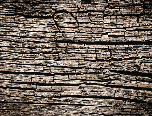 포토 JPG 해외이미지 나무 디자인 벽 백그라운드 패턴 자연 표면 날씨 추상 건조 사람없음 목재 문 회색 판넬 거친 널 묘사 부식 질감 복고 그런지 썩음 옛날 해외202004 해외포토 식물 컬러 무늬 재료 생태계 파일형식 이미지허브