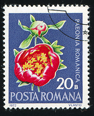 포토 JPG 해외이미지 식물 꽃잎 꽃 줄기 꽃무늬 자연 봉투 사람없음 수확 골동품 벚꽃 메시지 역사 물개 편지 꽃집 복고 엽서 루마니아 우표 내추럴 옛날 작약 해외202004 해외포토 유럽 무늬 농업 포유류 상점 바다동물 생태계 파일형식 이미지허브