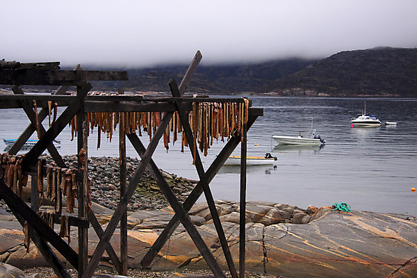포토 JPG 해외이미지 구름 호수 파도 바다 섬 과학 여행 겨울 자연 하늘 풍경 사람없음 물 여름 파란색 빛 컬러풀 글로벌 반사 여행객 우주 일출 얼음 일몰 추위 흰색 오픈 크루즈 시원함 크리스탈 북극 서리 빙산 북쪽 그린란드 북극해 옛날 해외202004 해외포토 자연요소 계절 컬러 배_교통 덴마크 사람 노을 광석 극지방 방향 생태계 파일형식 이미지허브