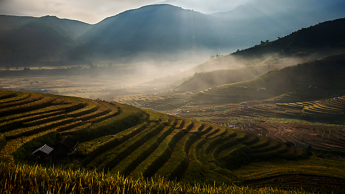포토 JPG 해외이미지 식물 아시아 지구 음식 여행 잎 밭 곡선 태국 자연 밥 산 동양인 풍경 사람없음 야외 초록색 농장 환경 계곡 중국 일몰 흙 거친 땅 원예 베트남 발리 캄보디아 지역 말레이시아 경영 규정 땅바닥 미얀마 생태학 인도차이나반도 제어 해외202004 해외포토 교육 나라 선 컬러 섬 농업 비즈니스 바닥 인종 취미 노을 동남아시아 생태계 인도네시아 파일형식 이미지허브
