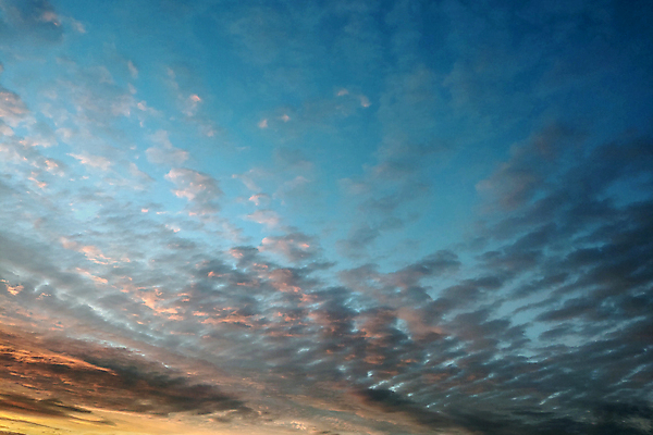 포토 JPG 해외이미지 구름 라이프스타일 실루엣 백그라운드 패턴 오렌지 자연 벽지 하늘 아침 추상 풍경 사람없음 야외 빨간색 물 여름 빛 컬러풀 햇빛 태양 노란색 일출 황혼 일몰 봄 새벽 황금 저녁 홍수 스카이다이빙 공상 마법 천국 내추럴 해외202004 해외포토 주간 자연요소 계절 컬러 무늬 과일 촬영기법 생활 노을 야간 자연재해 익스트림스포츠 생태계 파일형식 이미지허브