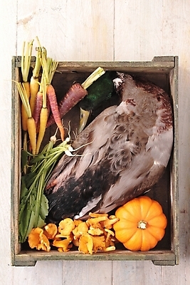 포토 JPG 해외이미지 계절 음식 채소 재료 영국 오리 육류 요리 사람없음 주방 식사 저녁식사 가을 청둥오리 건강식 점심식사 해외202004 해외포토 유럽 식재료 조류 파일형식 이미지허브