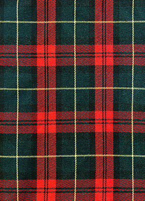 포토 JPG 해외이미지 전통 옷 문화 백그라운드 패턴 추상 사람없음 빨간색 세로 초록색 치마 검은색 줄무늬 직물 면 역사 플랫 심볼 확인 질감 복고 정사각형 캔버스 망사 산악지대 양모 구식 스코틀랜드 해외202004 해외포토 도형 컬러 무늬 하의 영국 산 파일형식 이미지허브