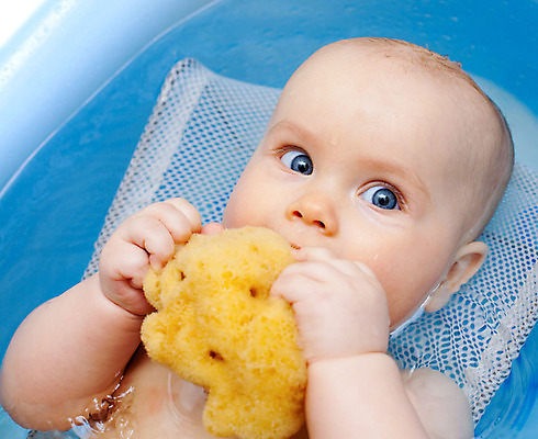 포토 JPG 해외이미지 백인 라이프스타일 응시 딸 얼굴 어린이 신체 수영장 건강 한명 물 목욕 기쁨 욕실 아기 잡기 최고 입 씻기 빨래 작음 피부 스펀지 내추럴 거짓말 걸음마 돌봄 위생관리 안락 해외202004 해외포토 자연요소 서양인 1 시선 감정 컨셉 가사 가족 모션 관리 사람 생활 신체부위 청결 크기 파일형식 이미지허브