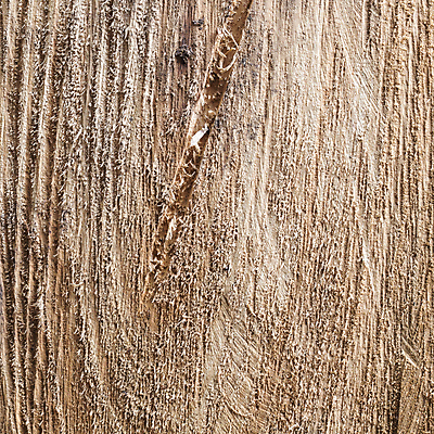 포토 JPG 해외이미지 나무 식물 디자인 외관 백그라운드 패턴 자연 벽지 탁자 표면 추상 프레임 미술 사람없음 목재 장식 갈색 우주 어둠 공백 수확 소나무 판넬 원형 널 질감 통나무 호두 내추럴 그런지 수목 옛날 진짜 현실 파케트 해외202004 해외포토 도형 컬러 가구 무늬 농업 재료 문화예술 견과류 생태계 파일형식 이미지허브