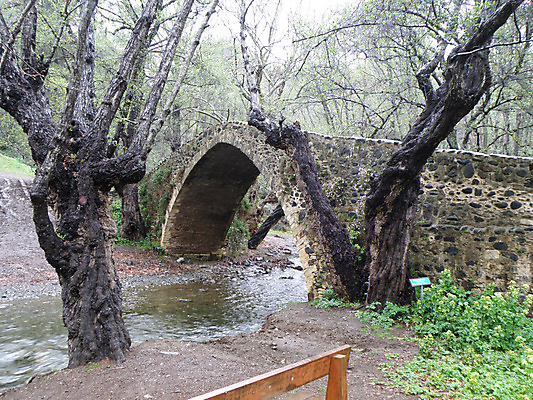 포토 JPG 해외이미지 도로 자연 산 사람없음 물 강 흐름 개울 숲 해외202004 해외포토 자연요소 길 컨셉 교통시설 생태계 파일형식 이미지허브