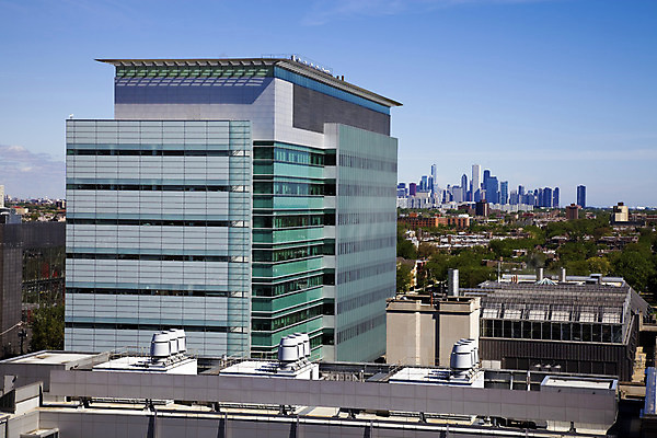 포토 JPG 해외이미지 교육 건축양식 학교 사람없음 도시풍경 사무실 고층빌딩 도시 도심 시티라이프 스카이라인 시카고 해외202004 해외포토 라이프스타일 건축 비즈니스 풍경 빌딩 미국 파일형식 이미지허브