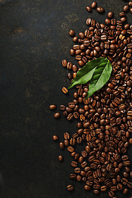 포토 JPG 해외이미지 커피 컨셉 잎 휴식 콩 사람없음 목재 카페 원두 아침식사 굽기 에스프레소 내추럴 블랙커피 양조 옛날 카피스페이스 해외202004 해외포토 나무 식물 음료 재료 곡류 상점 식사 공백 구이 파일형식 이미지허브