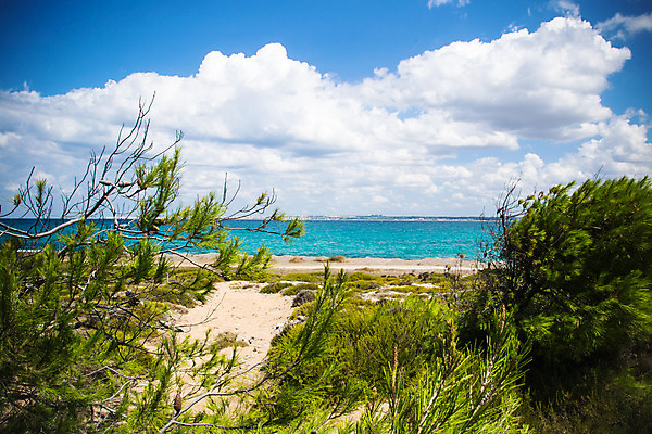 포토 JPG 해외이미지 구름 모래 파도 바다 섬 자연 하늘 바람 파노라마 풍경 사람없음 초록색 물 여름 파란색 햇빛 환경 봄 이탈리아 만 투명 황무지 언덕 자연백그라운드 암초 침엽수 내추럴 이국적 해외202004 해외포토 자연요소 나무 계절 유럽 컬러 백그라운드 날씨 촬영기법 태양 생태계 파일형식 이미지허브