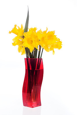 포토 JPG 해외이미지 계절 꽃잎 꽃 화분 줄기 꽃다발 백그라운드 잎 자연 부활절 사람없음 빨간색 초록색 노란색 꽃병 봄 성장 흰색 백합 4월 5월 다발 수선화 고립 취급주의 해외202004 해외포토 식물 기념일 컬러 경고 날짜 생태계 파일형식 이미지허브