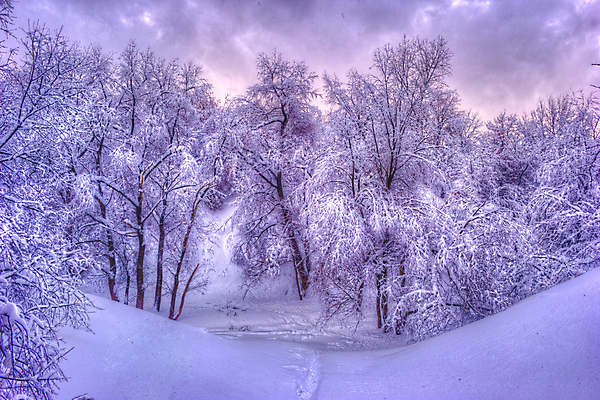 포토 JPG 해외이미지 나무 계절 공원 도로 길 여행 백그라운드 크리스마스 겨울 자연 벽지 하늘 동화 날씨 휴가 산 거리 파노라마 풍경 사람없음 야외 목재 환경 냉동 얼음 검은색 추위 덮개 흰색 나뭇가지 눈송이 숲 서리 장면 전나무 러시아인 벌거벗은 제설기 폭설 눈내림 해외202004 해외포토 자연요소 서양인 식물 공공시설 기념일 컬러 재료 교통시설 눈_날씨 촬영기법 뚜껑 자연재해 생태계 제설 파일형식 이미지허브