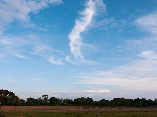 포토 JPG 해외이미지 식물 구름 계절 백그라운드 밭 농업 자연 하늘 풍경 잔디 사람없음 목재 초록색 여름 파란색 햇빛 태양 농장 농경지 노란색 환경 맑음 봄 자유 시골 신선 숲 5월 땅 유기농 장면 지역 천국 내추럴 밭일 파라다이스 수평선 해외202004 해외포토 자연요소 나무 웰빙 산업 컬러 컨셉 재료 날씨 날짜 생태계 파일형식 이미지허브