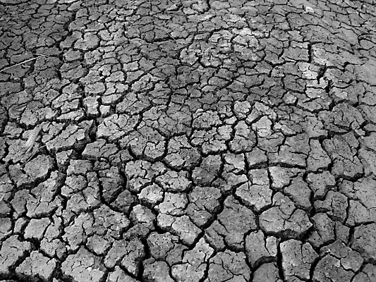 포토 JPG 해외이미지 지구 백그라운드 컨셉 자연 표면 날씨 아이디어 프레임 건조 사람없음 야외 여름 글로벌 환경 흙 손상 사막 죽음 뜨거움 거친 땅 가득함 묘사 부식 질감 지역 가뭄 안심 다리찢기 내추럴 그런지 깨짐 땅바닥 재앙 지질학 해외202004 해외포토 계절 교육 모션 바닥 육류 생태계 파일형식 이미지허브