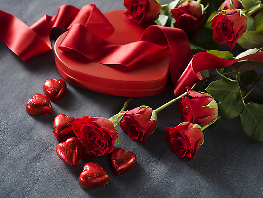 포토 JPG 해외이미지 리본 회색배경 발렌타인데이 사람없음 빨간색 선물상자 하이앵글 장미 초콜릿 하트 오브젝트 해외포토 모양 꽃 뷰포인트 컬러 백그라운드 데이이벤트 디저트 선물 상자 회색 파일형식 이미지허브