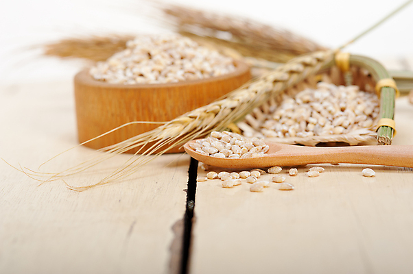 포토 JPG 해외이미지 근접촬영 사람없음 농작물 낟알 보리 보리이삭 해외202004 해외포토 뷰포인트 농업 곡류 이삭 파일형식 이미지허브