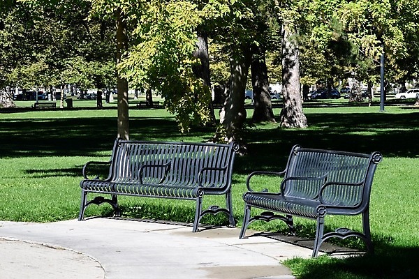 포토 JPG 해외이미지 나무 계절 공원 길 백그라운드 단풍 잎 벤치 의자 자연 풍경 사람없음 야외 목재 초록색 컬러풀 갈색 정원 검은색 침묵 죽음 도시 숲 내추럴 적자 해외202004 해외포토 식물 공공시설 컬러 가구 재료 소리 생태계 파일형식 이미지허브