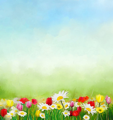 JPG 해외이미지 꽃 꽃밭 일러스트 사람없음 그림 손그림 유화 해외202004 해외일러스트 식물 미술 파일형식 이미지허브