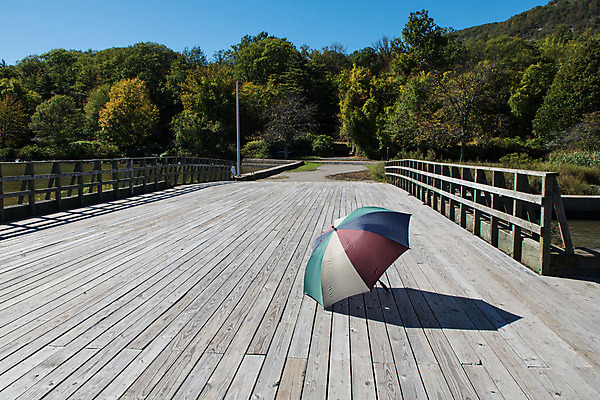 포토 JPG 해외이미지 나무 디자인 계절 백그라운드 단풍 잎 패턴 우산 자연 벽지 미술 사람없음 초록색 물 컬러풀 갈색 노란색 검은색 페인트 가을 황금 숲 질감 옛날 해외202004 해외포토 자연요소 식물 컬러 무늬 문화예술 생태계 파일형식 이미지허브