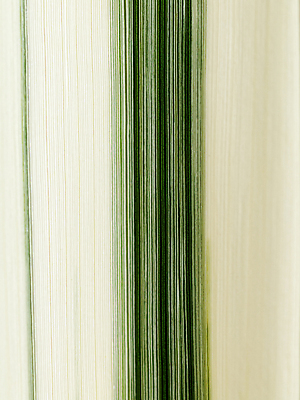 포토 JPG 해외이미지 식물 선 백그라운드 잎 패턴 자연 추상 사람없음 초록색 물 환경 줄무늬 흰색 물방울 신선 투명 액체 이슬 질감 광합성 해외202004 해외포토 자연요소 컬러 무늬 생태계 파일형식 이미지허브