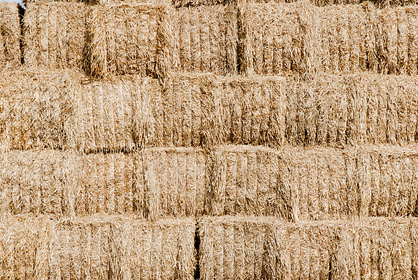 포토 JPG 해외이미지 백그라운드 밭 농업 건조 사람없음 여름 농장 노란색 쌓기 마을 수확 황금 볏짚 낟알 뭉치 밀짚 해외202004 해외포토 계절 산업 컬러 모션 짚 파일형식 이미지허브