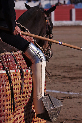 포토 JPG 해외이미지 동물 전통 문화 사람없음 축제 공연 용기 자신감 위험 망토 황소 싸움 민화 스페인어 투우장 해외202004 해외포토 그릇 감정 컨셉 모션 이벤트 소 그림 투우 파일형식 이미지허브