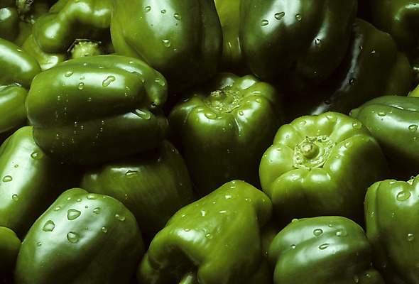 포토 JPG 해외이미지 식물 잡화 음식 농업 채소 과일 피망 건강 사람없음 초록색 농작물 농장 수확 종 신선 유기농 원예 후추 밭일 해외202004 해외포토 웰빙 산업 컬러 취미 향신료 파일형식 이미지허브