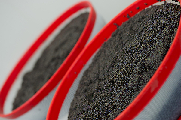 포토 JPG 해외이미지 직업 산업 공장 실내 어류 안전 사람 상반신 사람없음 앞치마 흰색 작업 고급 보호 유혹 순수 준비 심플 충동구매 위생관리 캐비아 해외202004 해외포토 컬러 컨셉 식재료 공업 관리 내부 쇼핑 수중동물 과소비 파일형식 이미지허브