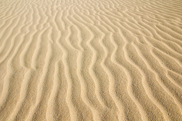 포토 JPG 해외이미지 선 모래 백그라운드 패턴 오렌지 자연 추상 건조 따뜻함 사람없음 야외 갈색 노란색 사막 뜨거움 황금 모래언덕 질감 결 지역 잔물결 지질학 해외202004 해외포토 교육 물결 컬러 무늬 과일 언덕 생태계 파일형식 이미지허브