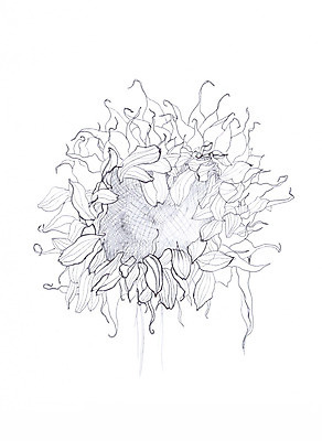 포토 JPG 해외이미지 식물 계절 꽃 야생동물 백그라운드 패턴 일러스트 자연 해바라기 잉크 흑백 사람없음 그래픽 장식 펜 정원 검은색 흰색 나뭇가지 인쇄 스케치 그림 생물학 판화 옛날 핸드메이드 해외202004 해외포토 나무 동물 교육 컬러 무늬 촬영기법 미술 필기구 생태계 파일형식 이미지허브