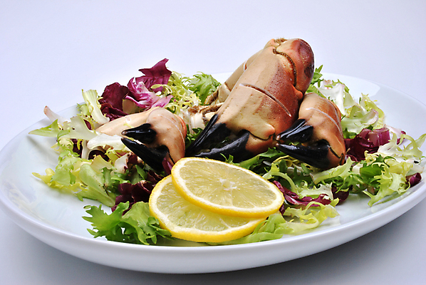 포토 JPG 해외이미지 음식 건강 갑각류 요리 사람없음 샐러드 게 신선 게요리 집게발 해물샐러드 해외202004 해외포토 동물 파일형식 이미지허브