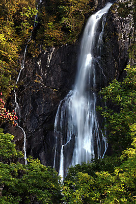 포토 JPG 해외이미지 나무 공원 유럽 잎 자연 영국 웨일즈 산 풍경 사람없음 야외 세로 초록색 물 갈색 노란색 평화 침묵 폭포 바위 시골 황무지 떨어짐 언덕 북쪽 내추럴 구성 전국 절정 스노도니아 스노든산 해외202004 해외포토 자연요소 식물 공공시설 나라 컬러 컨셉 소리 돌_바위 방향 생태계 파일형식 이미지허브